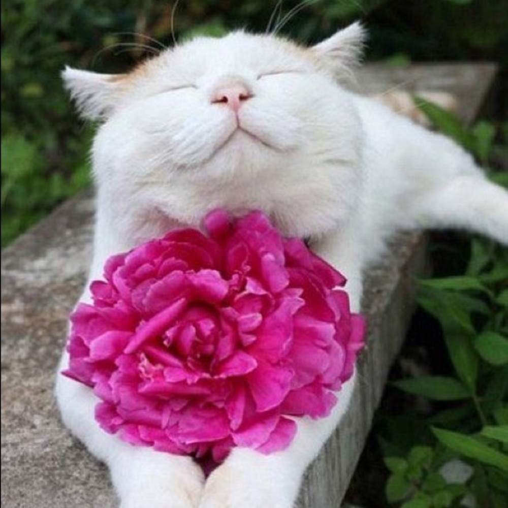 Hello, I’m Maia! Welcome :)